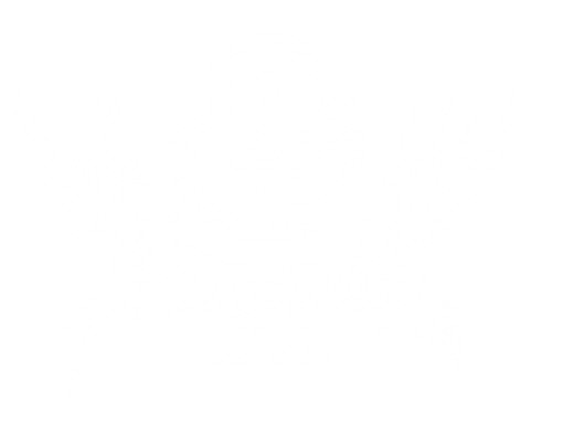 Craft Pizza & Beer